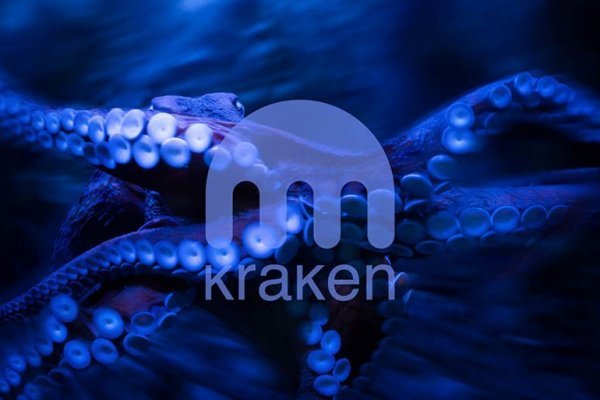 Kraken onion 3dark link com