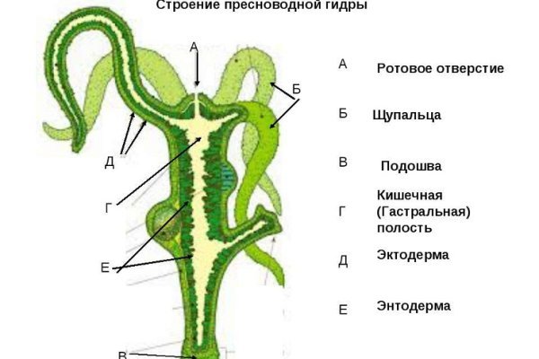 Кракен 20 at