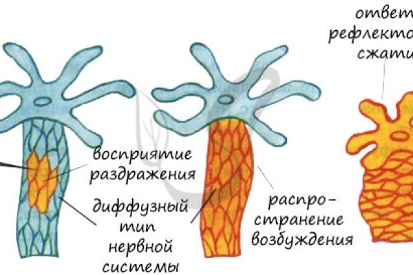 Кракен из